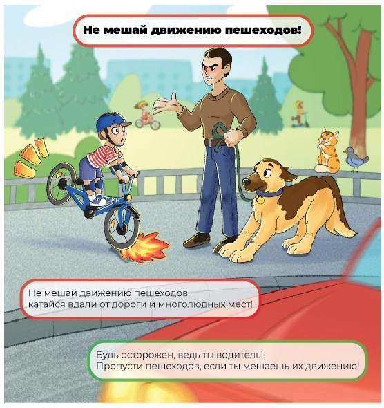 где могут передвигаться велосипедисты